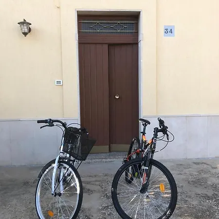 Il Giardino Del Mandarino House Montalbano (Apulia)